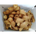 Wholesale 10kg PVC Box Bulk Fresh Ginger 250g